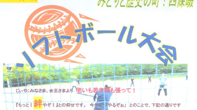 2017/05/05ソフトボール大会のご案内