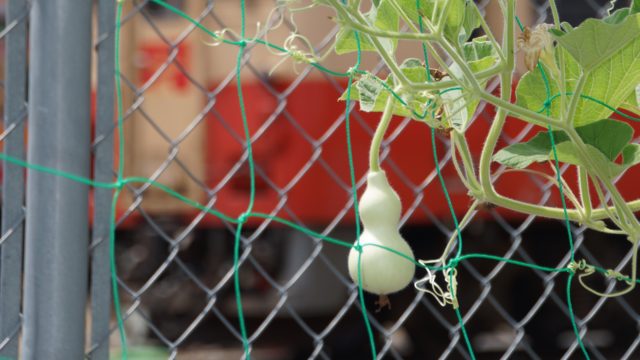 2017/08/19岡山県津山地区に遠征試合